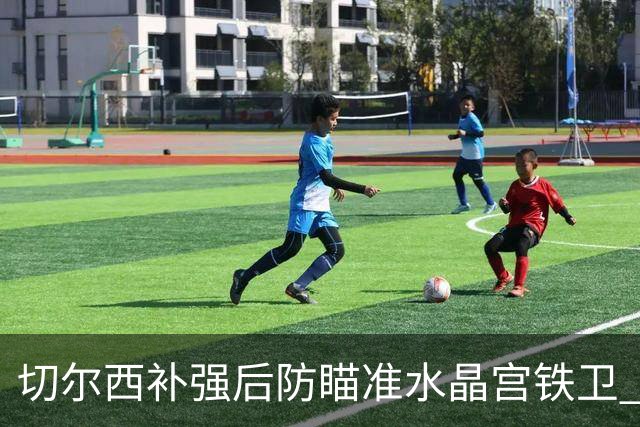 切尔西补强后防瞄准水晶宫铁卫 有合适报价可出售查洛巴