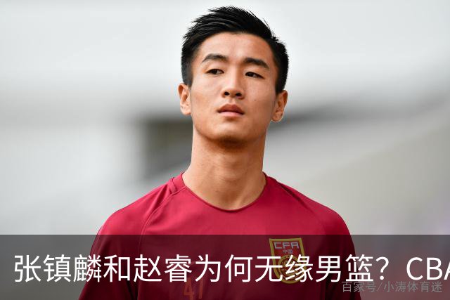 张镇麟和赵睿为何无缘男篮？CBA名记分析，道出2个原因