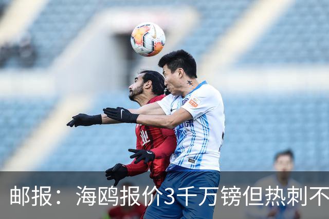 邮报：海鸥报价3千万镑但热刺不愿卖武什科维奇 巴萨国米拜仁关注